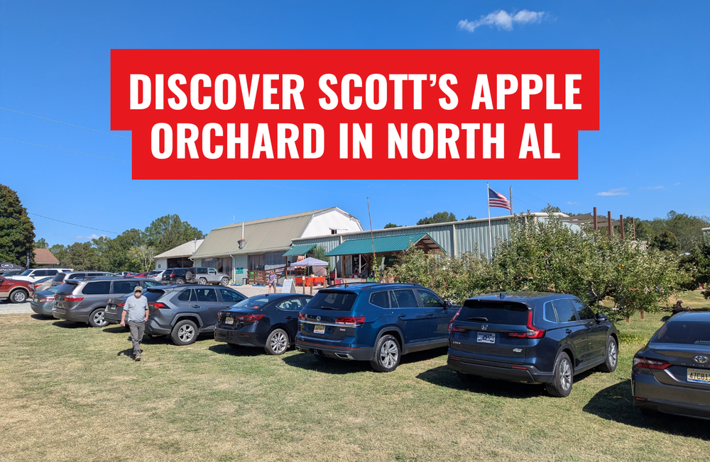 Fresh Fall Apples in Alabama: Discover Scott's Orchard for North Alabama Produce and Family Activities