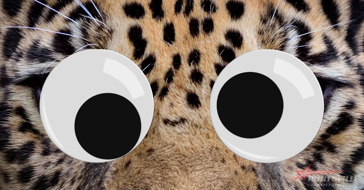 Jaguar’s 'Woke' Rebrand Tanks Sales 97.5%, Hits Alabama Dealerships