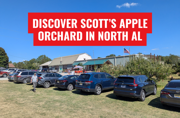 Fresh Fall Apples in Alabama: Discover Scott's Orchard for North Alabama Produce and Family Activities